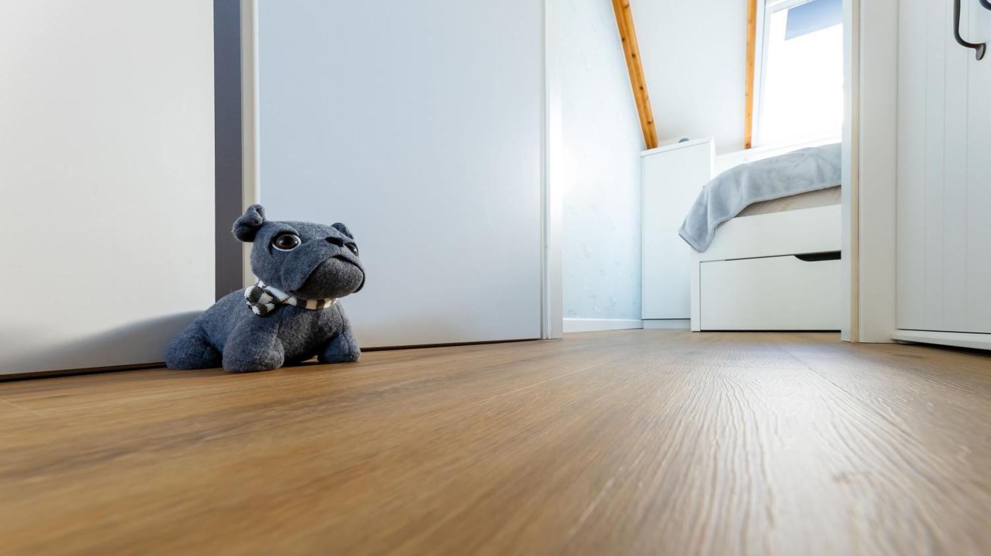 Haus Seeblick Mit 9 Wohnungen Alt Reddevitz Exteriér fotografie