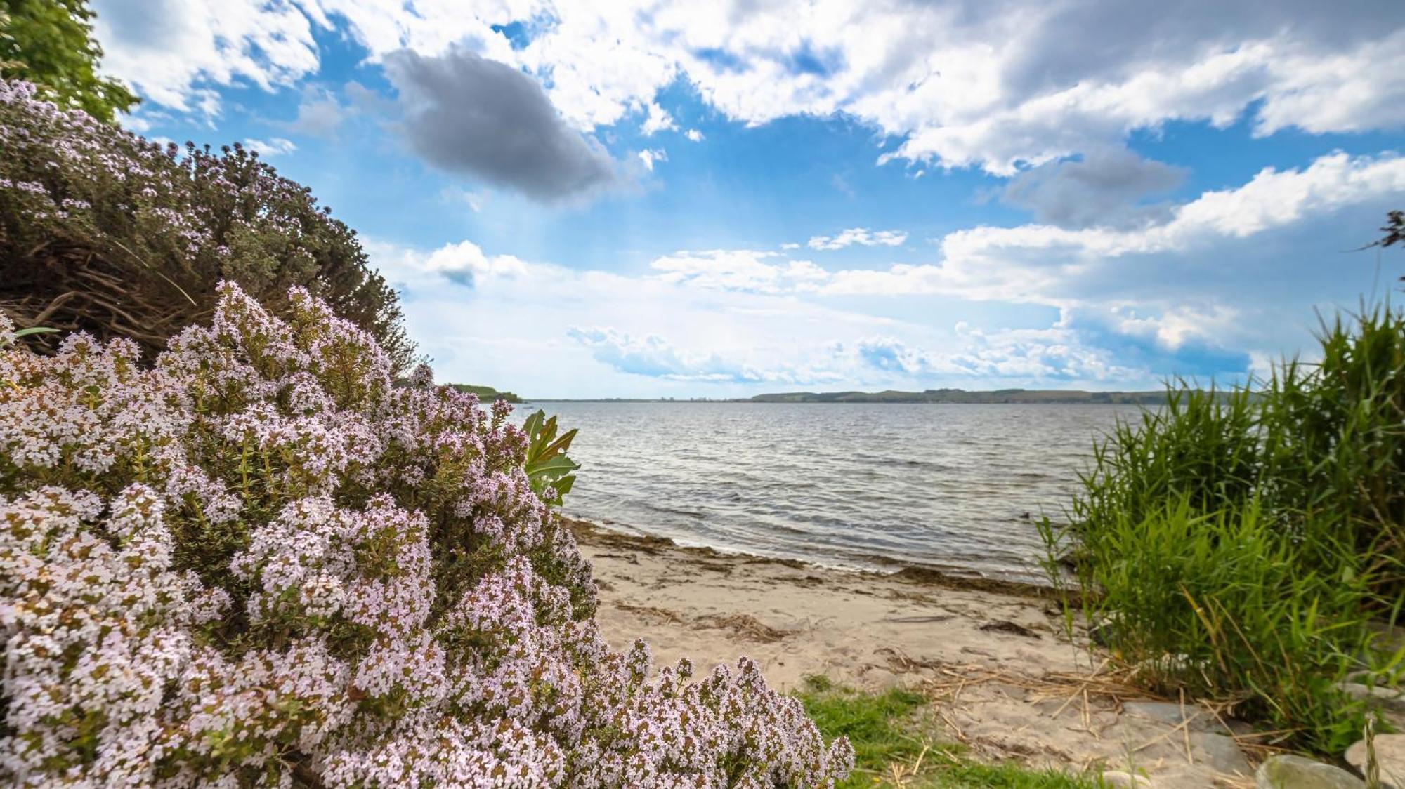 Haus Seeblick Mit 9 Wohnungen Alt Reddevitz Exteriér fotografie